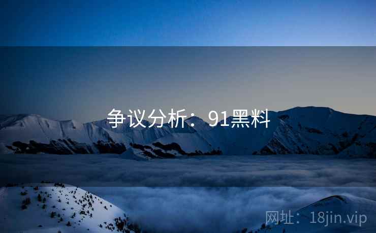 争议分析：91黑料