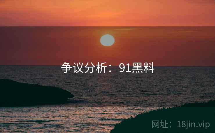 争议分析：91黑料