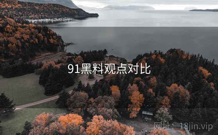 91黑料观点对比