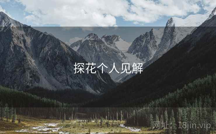 探花个人见解