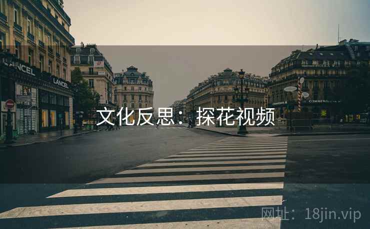 文化反思：探花视频