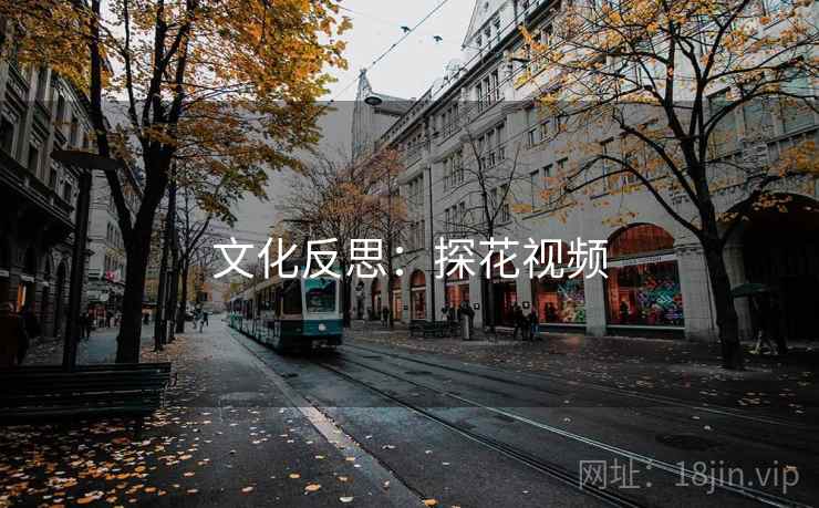 文化反思：探花视频