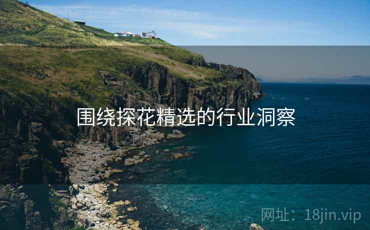 围绕探花精选的行业洞察