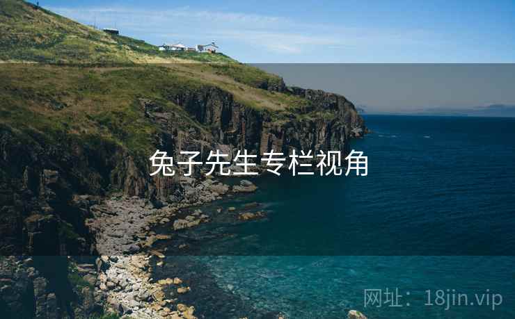 兔子先生专栏视角