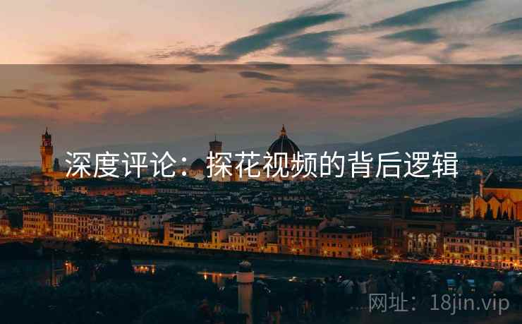 深度评论：探花视频的背后逻辑