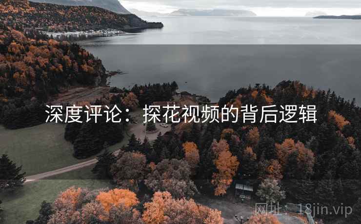 深度评论：探花视频的背后逻辑