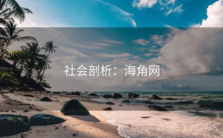 社会剖析：海角网