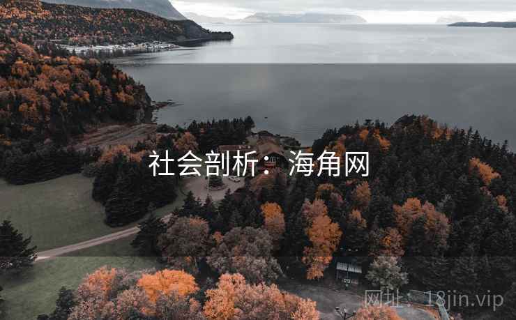 社会剖析：海角网