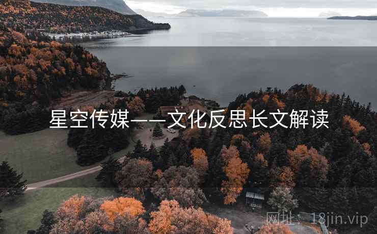 星空传媒——文化反思长文解读