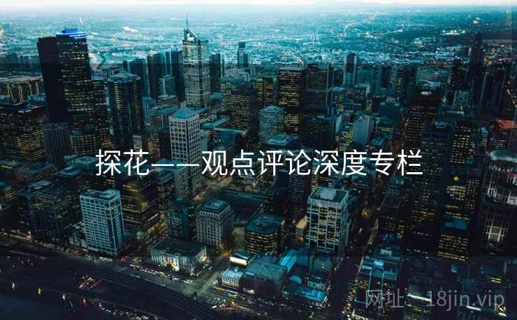 探花——观点评论深度专栏
