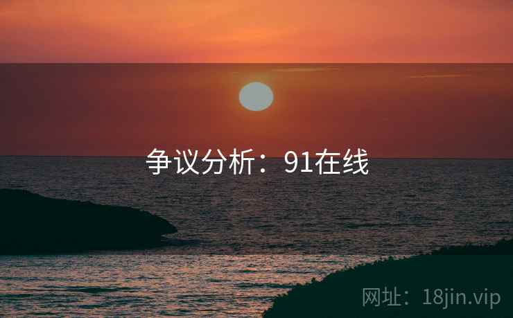 争议分析：91在线