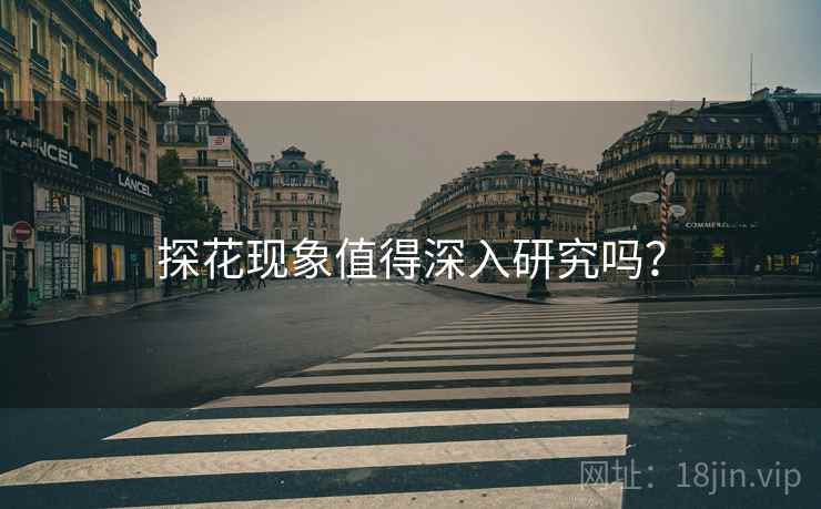 探花现象值得深入研究吗? 探花现象值得深入研究吗?