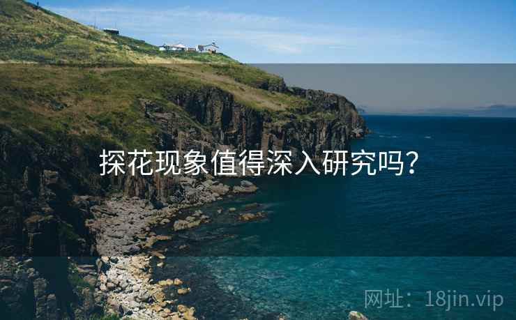 探花现象值得深入研究吗? 探花现象值得深入研究吗?