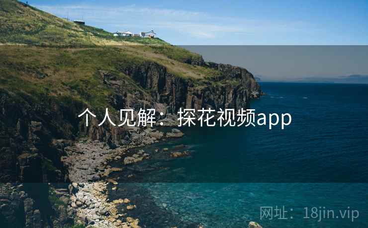 个人见解：探花视频app