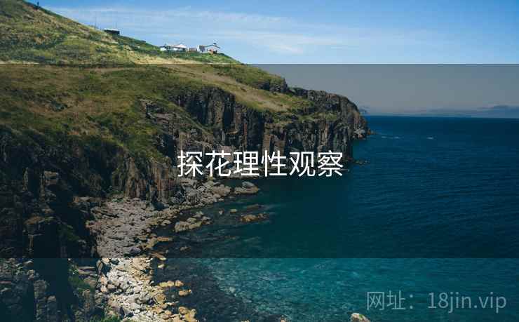 探花理性观察 探花理性观察