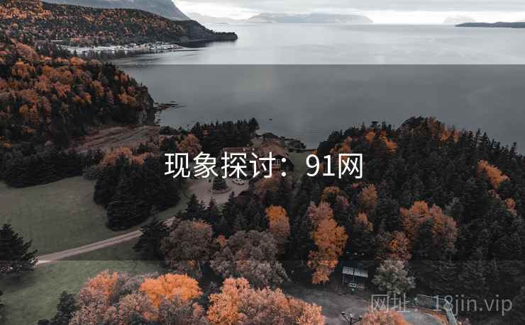 现象探讨：91网