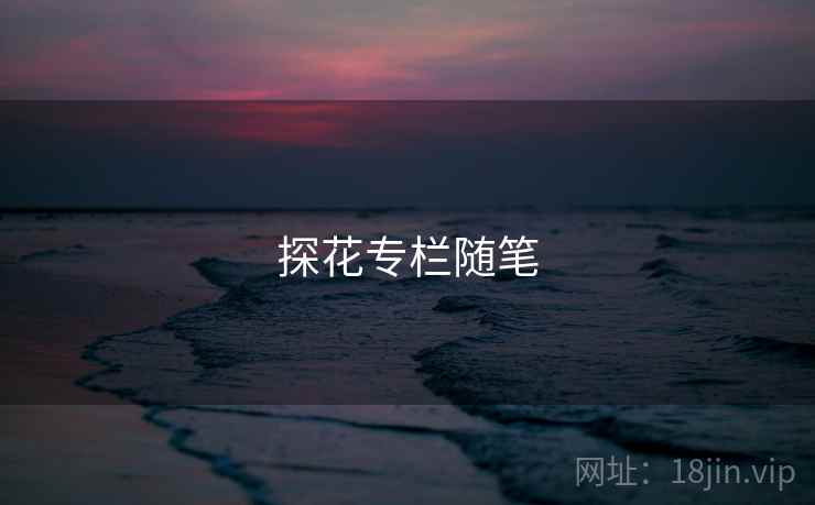 探花专栏随笔