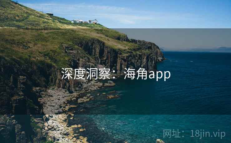 深度洞察：海角app